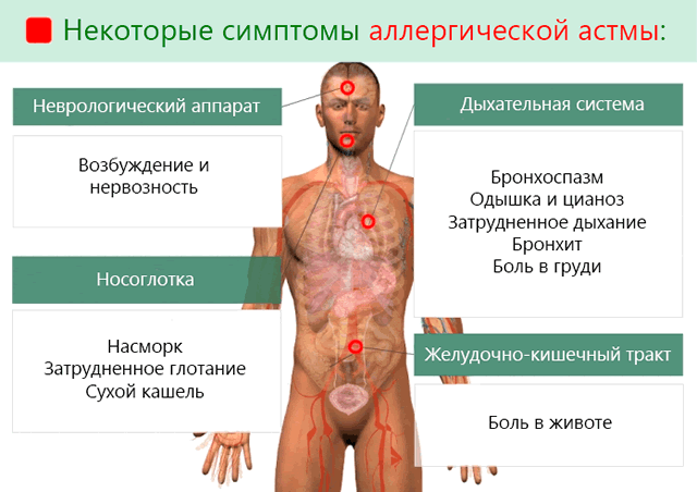 Симптомы аллергической астмы