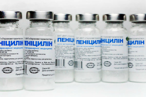 Пенициллиновый ряд