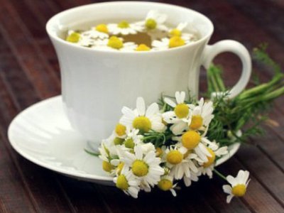 Ромашка для промывания носа