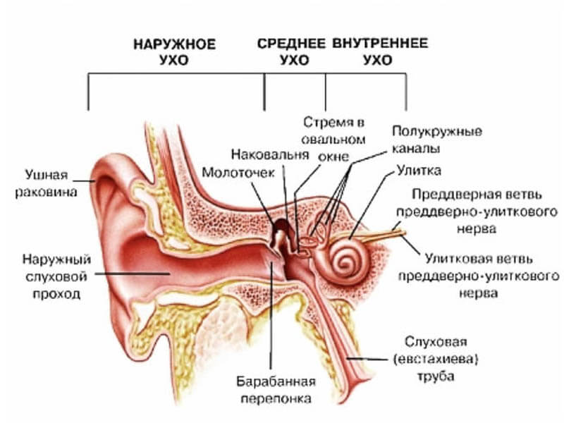 Как снять боль при отите и где он возникает