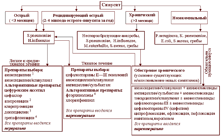 Схема терапии антибиотиками при синусите 