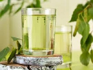 Отит: лечение уха спиртовой настойкой из березовых почек
