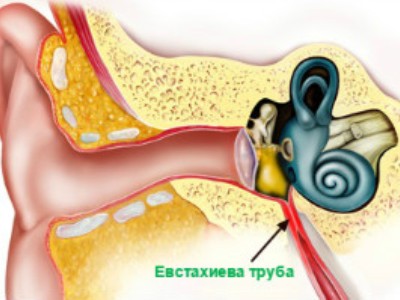 Евстахиит