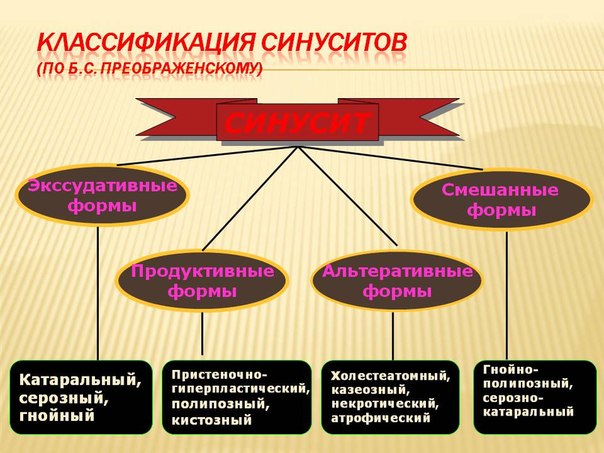 Классификация синуситов